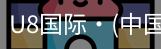 U8国际