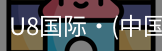 U8国际